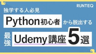 Python udemy